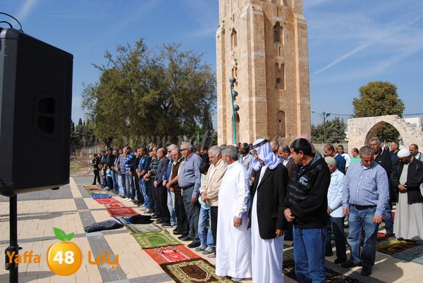 istesqa2 ramla 0201 (8).JPG